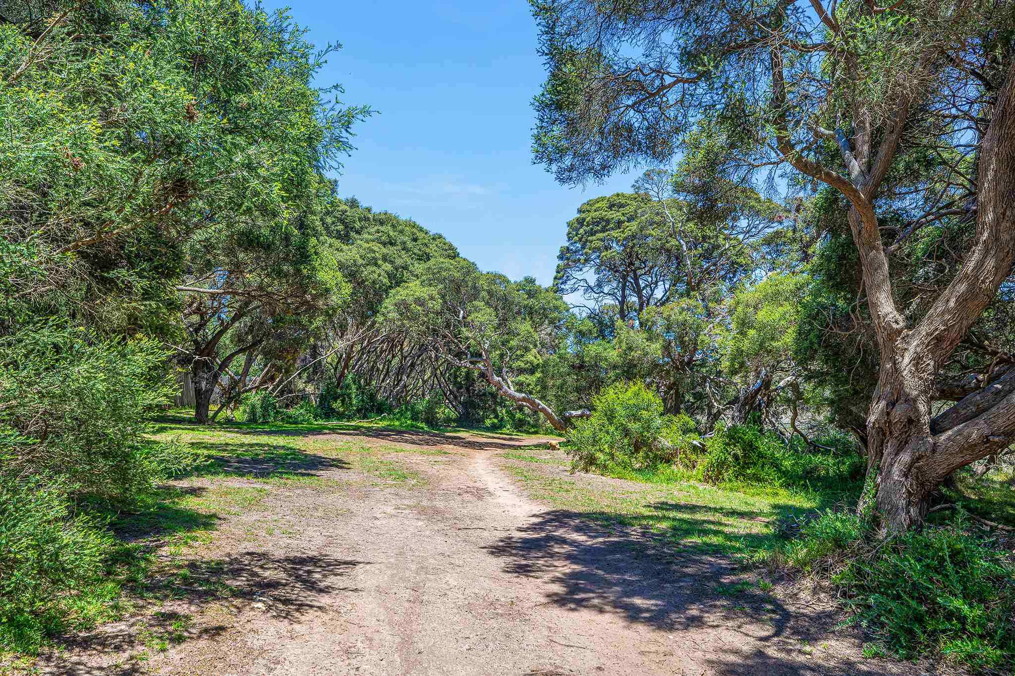 [Land for Sale] Surf View Estate, Torquay OpenLot